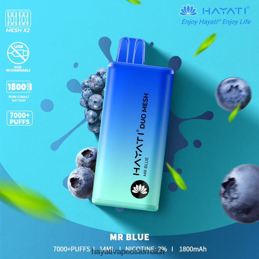 Hayati Flavours - Hayati Duo Mesh Einweg Herr Blau PZRL6R174
