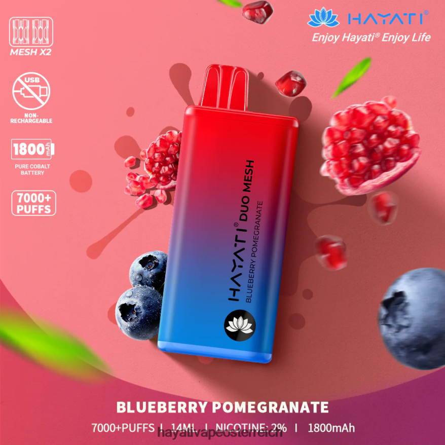 Hayati Store Österreich - Hayati Duo Mesh Einweg Blaubeer-Granatapfel PZRL6R186
