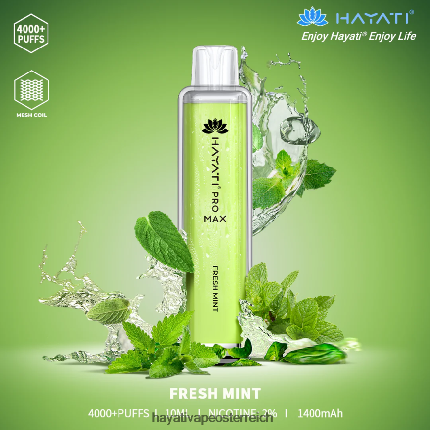 Hayati Flavours - Hayati Pro Max Einweg frische Minze PZRL6R104